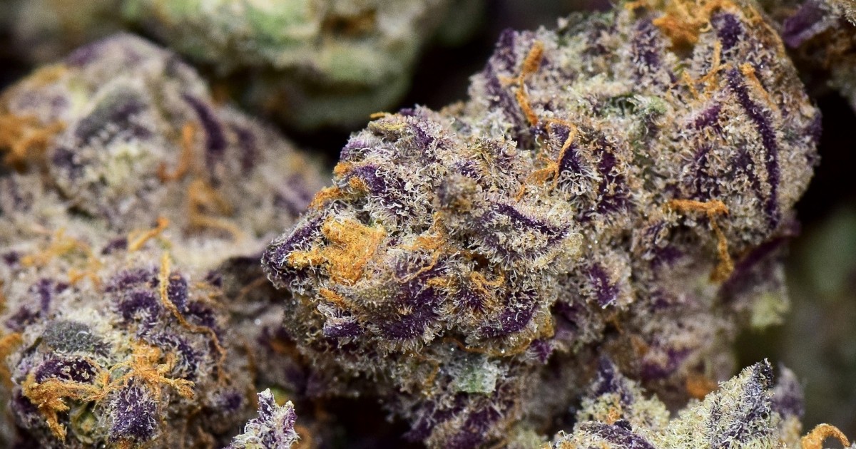 Purple-Punch
